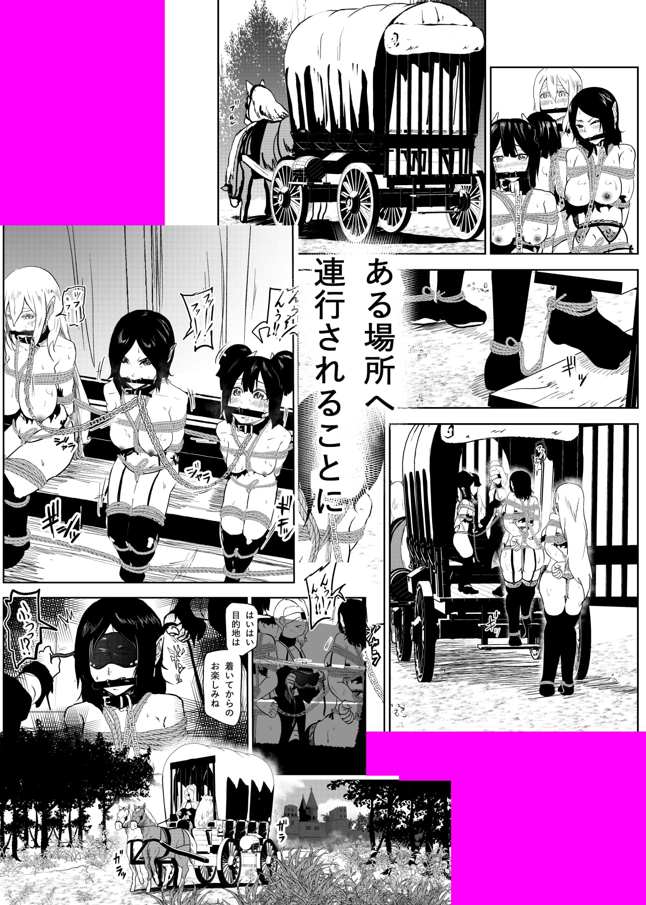 ヴァンパレイド4 ～吸血鬼 三姉妹 捕縛編～