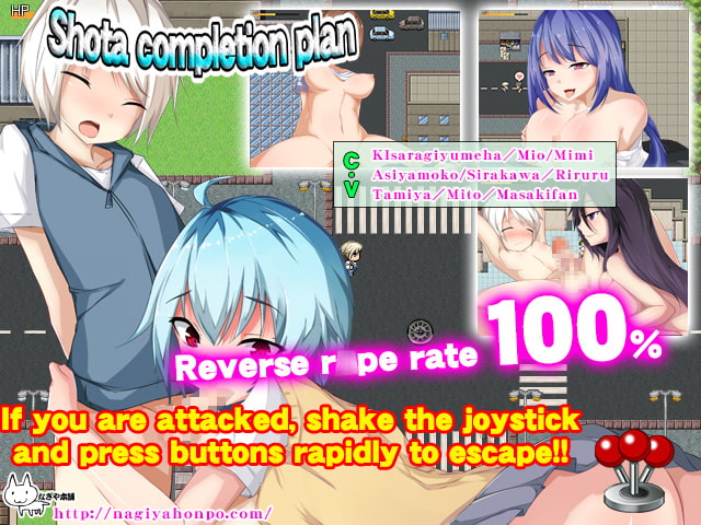 Shota completion plan