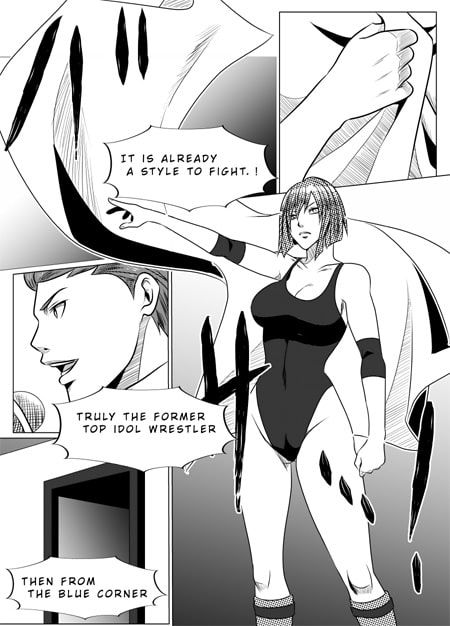 Media Women's Pro Wrestling ~Vengeance~