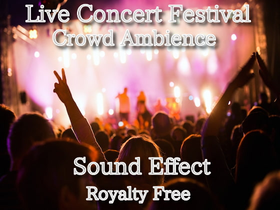 拍手と大歓声の効果音!