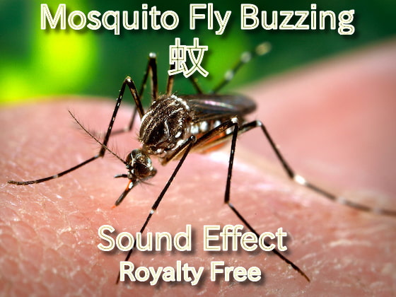 ブ〜ン 蚊(か)が飛ぶ音 効果音 01