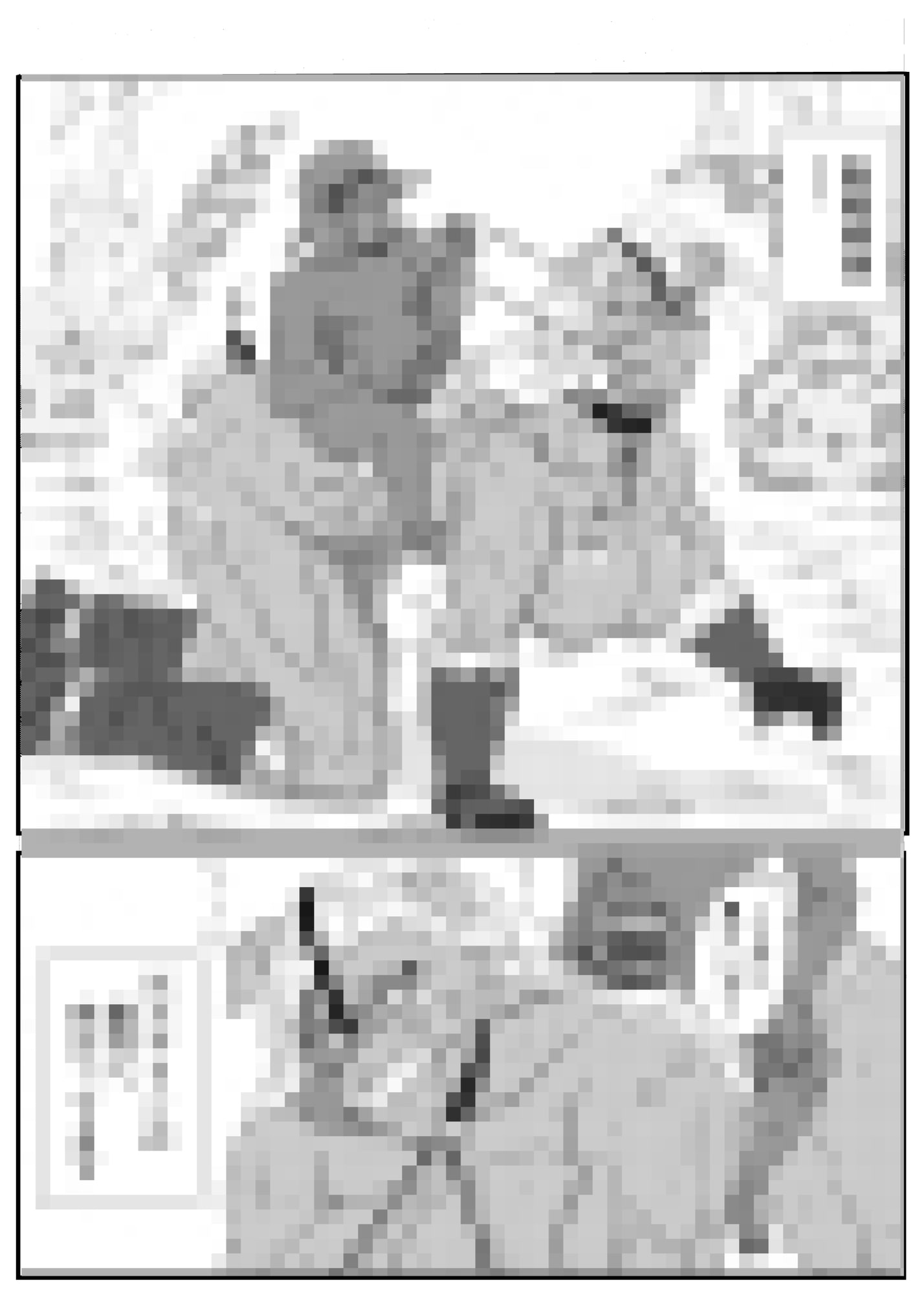 ゴブリンに催眠レ〇プされる女戦士