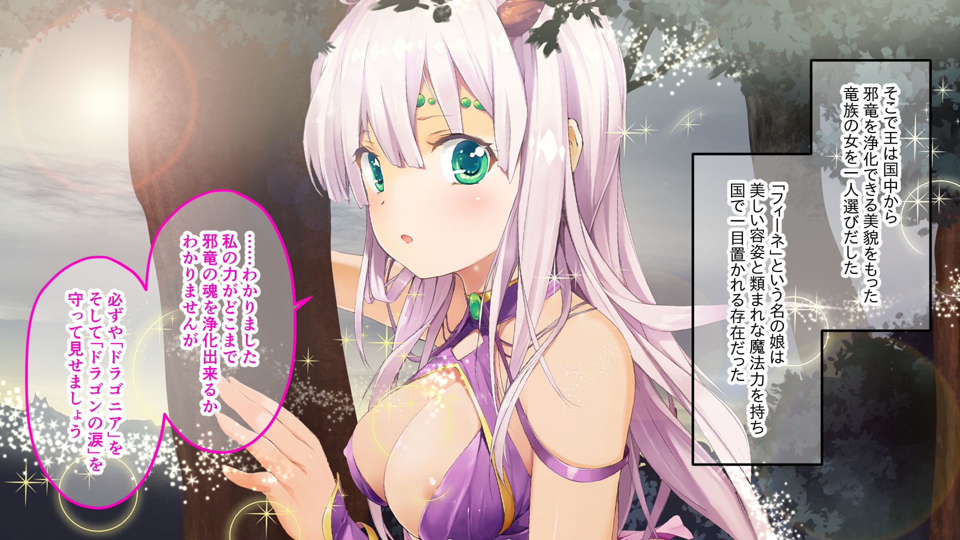 ドラゴニア ～龍聖女フィーネの浄化儀式～