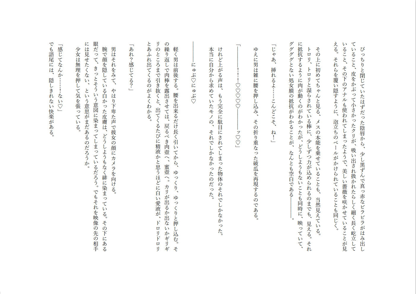 ボーイッシュ寝取られビデオレター