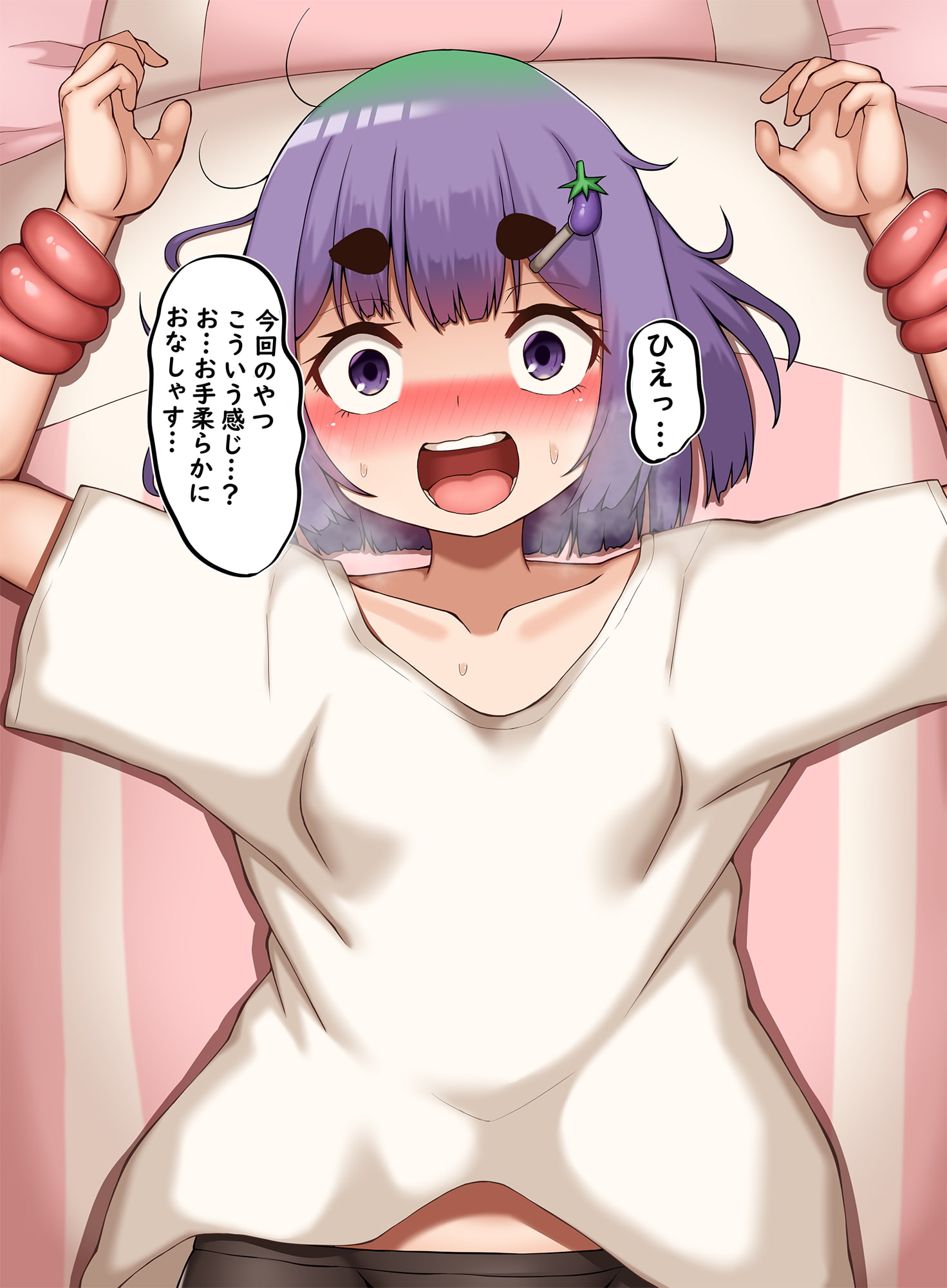 なすきのおもちゃレビュー2