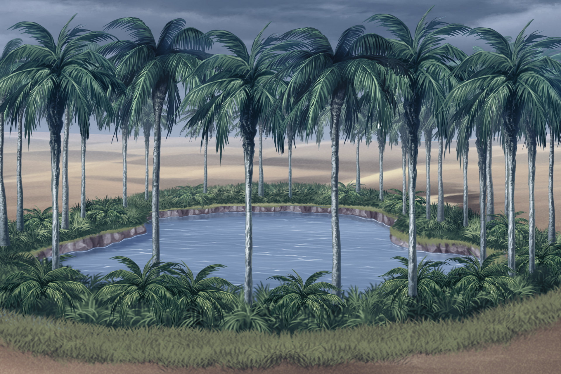 単品5種背景素材v13bオアシス