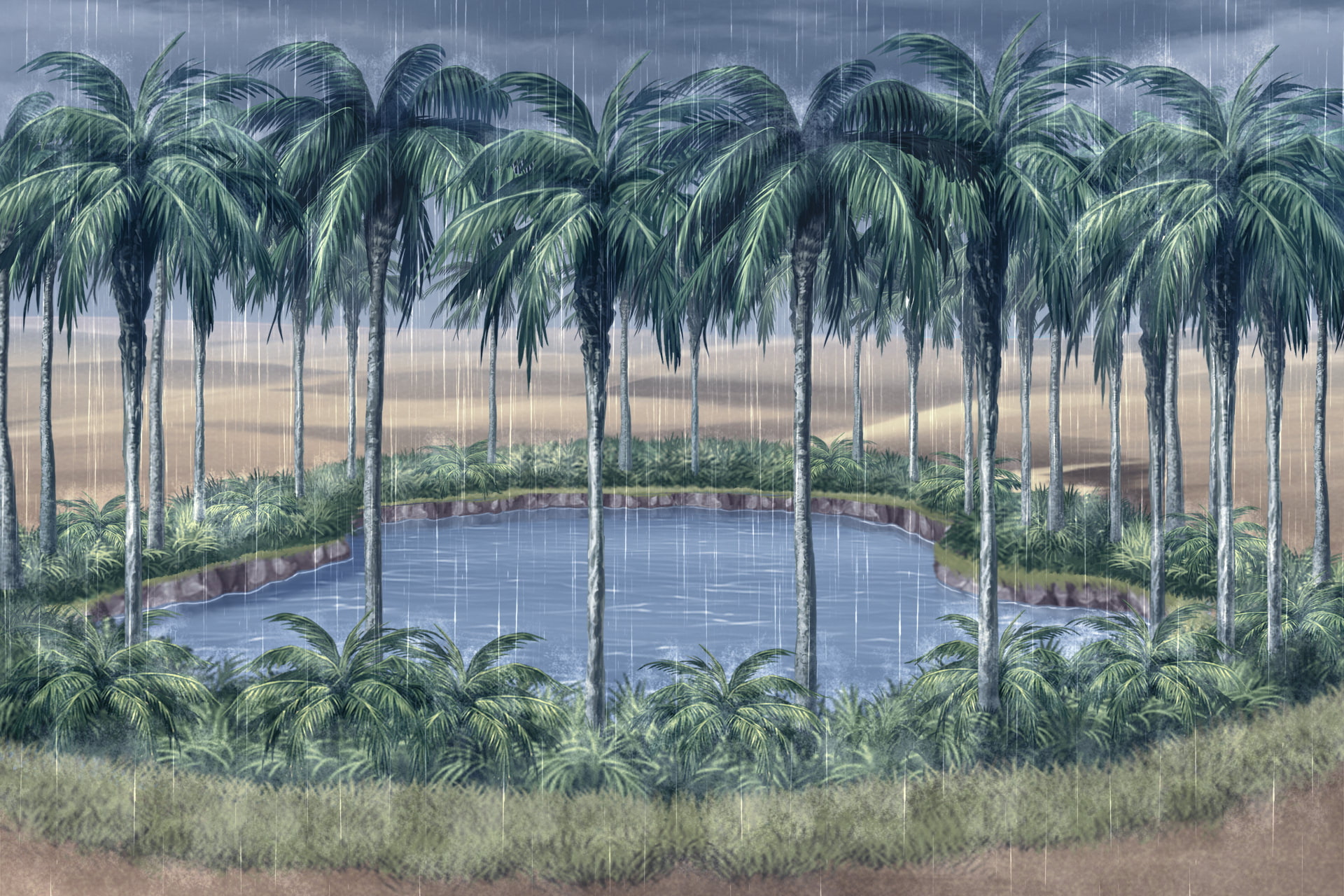 単品5種背景素材v13bオアシス