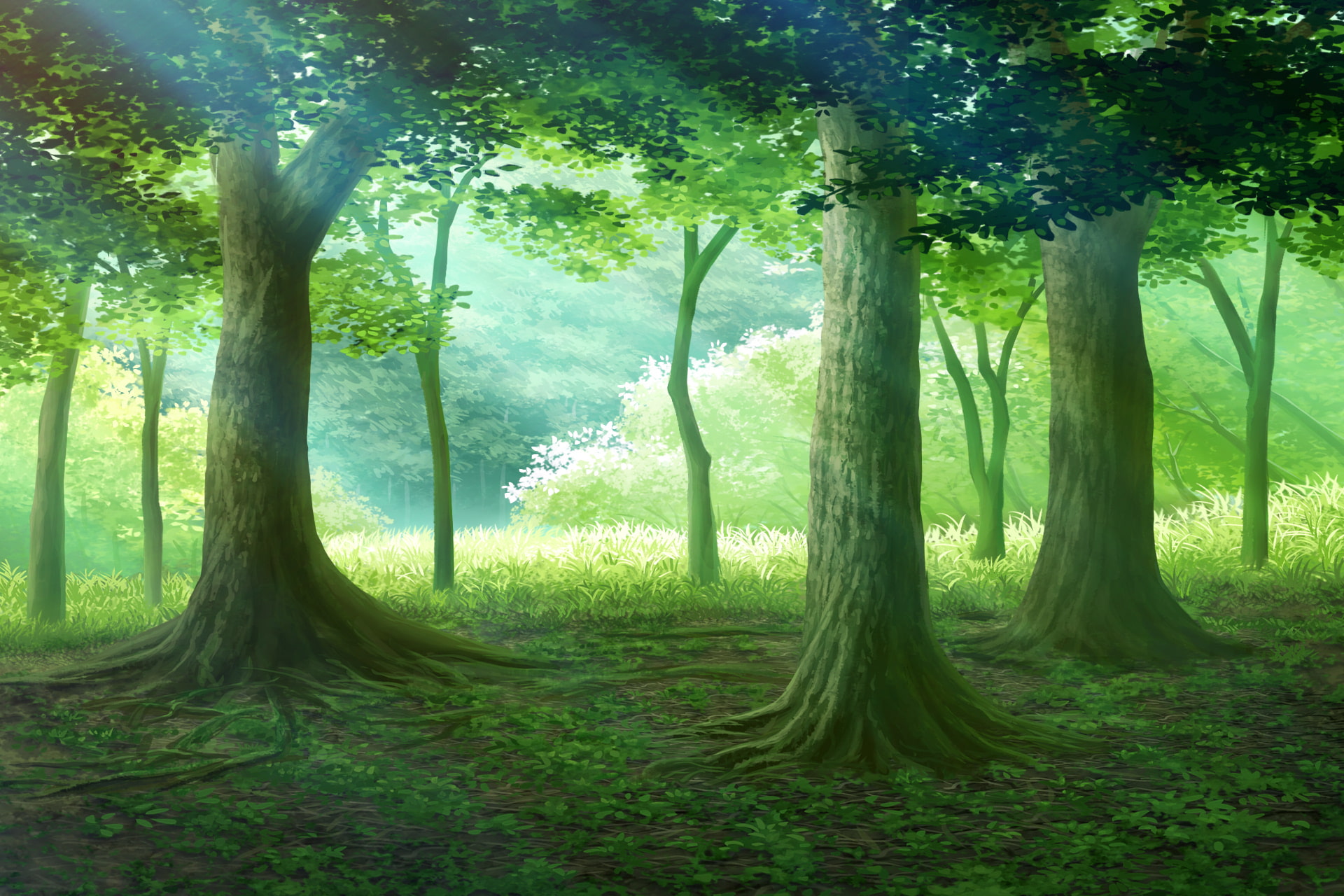 単品5種背景素材v17c森の出口