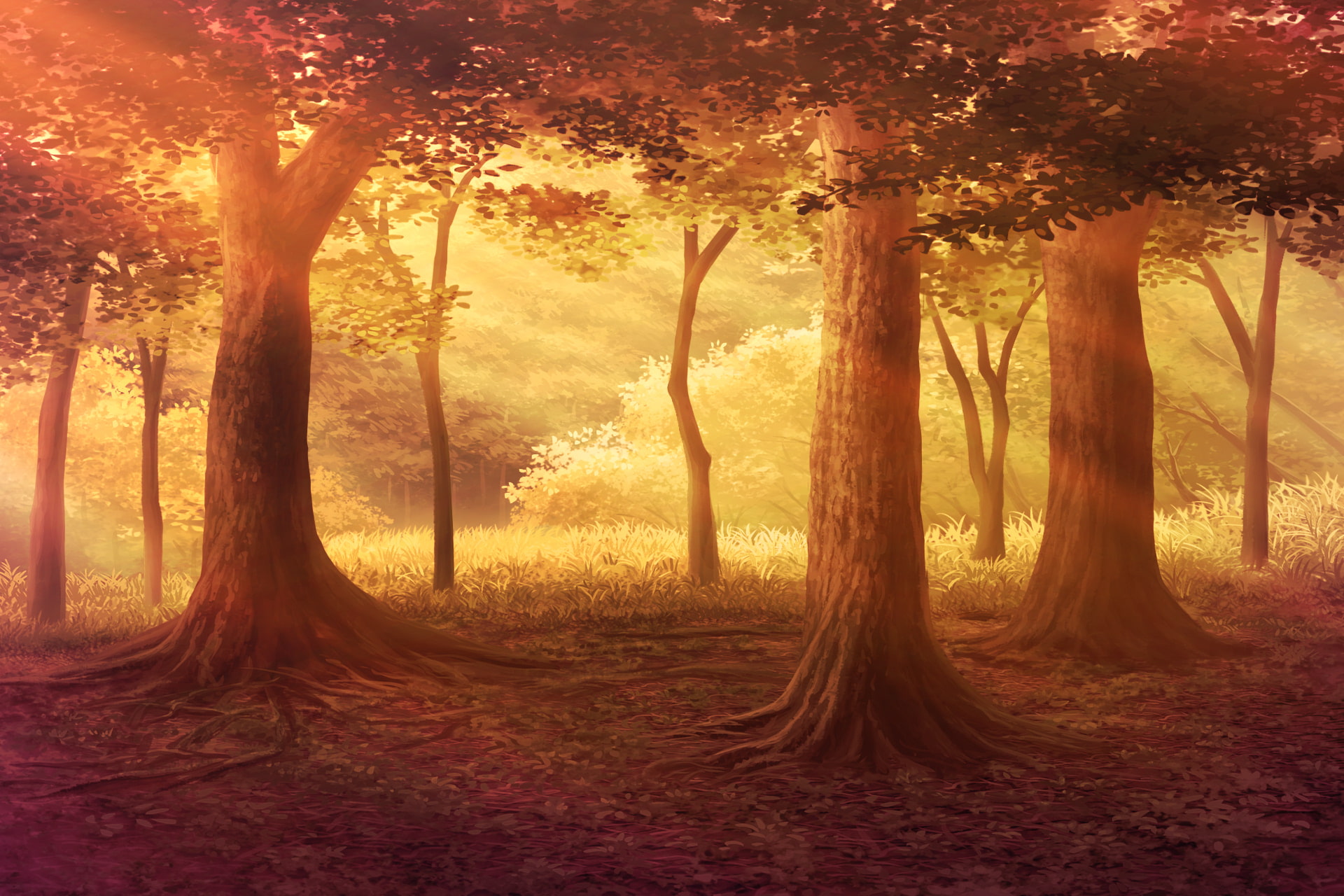 単品5種背景素材v17c森の出口