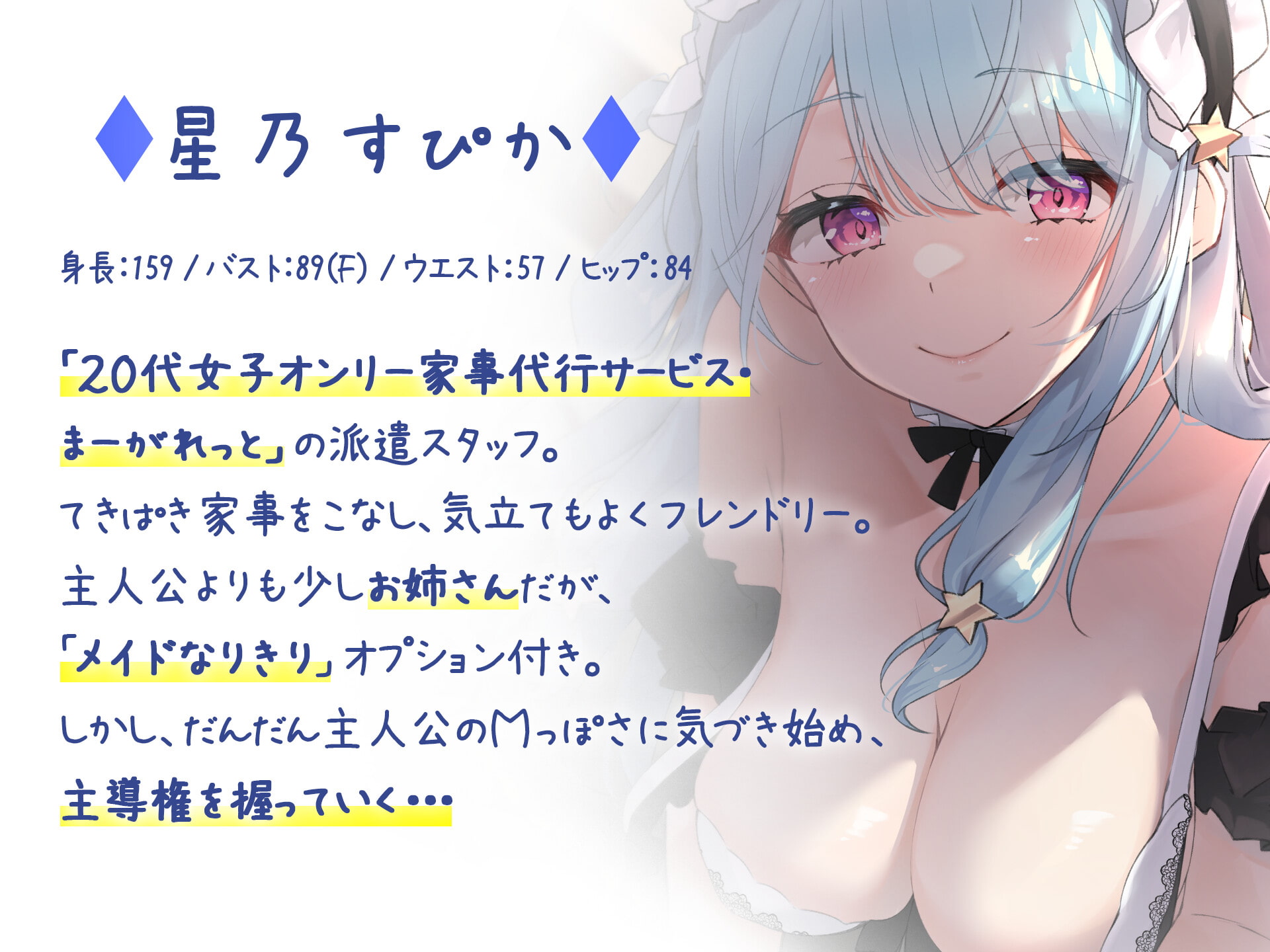 家事代行サービスを依頼したらSっ気メイドの女がきて気持ちよくしてくれました