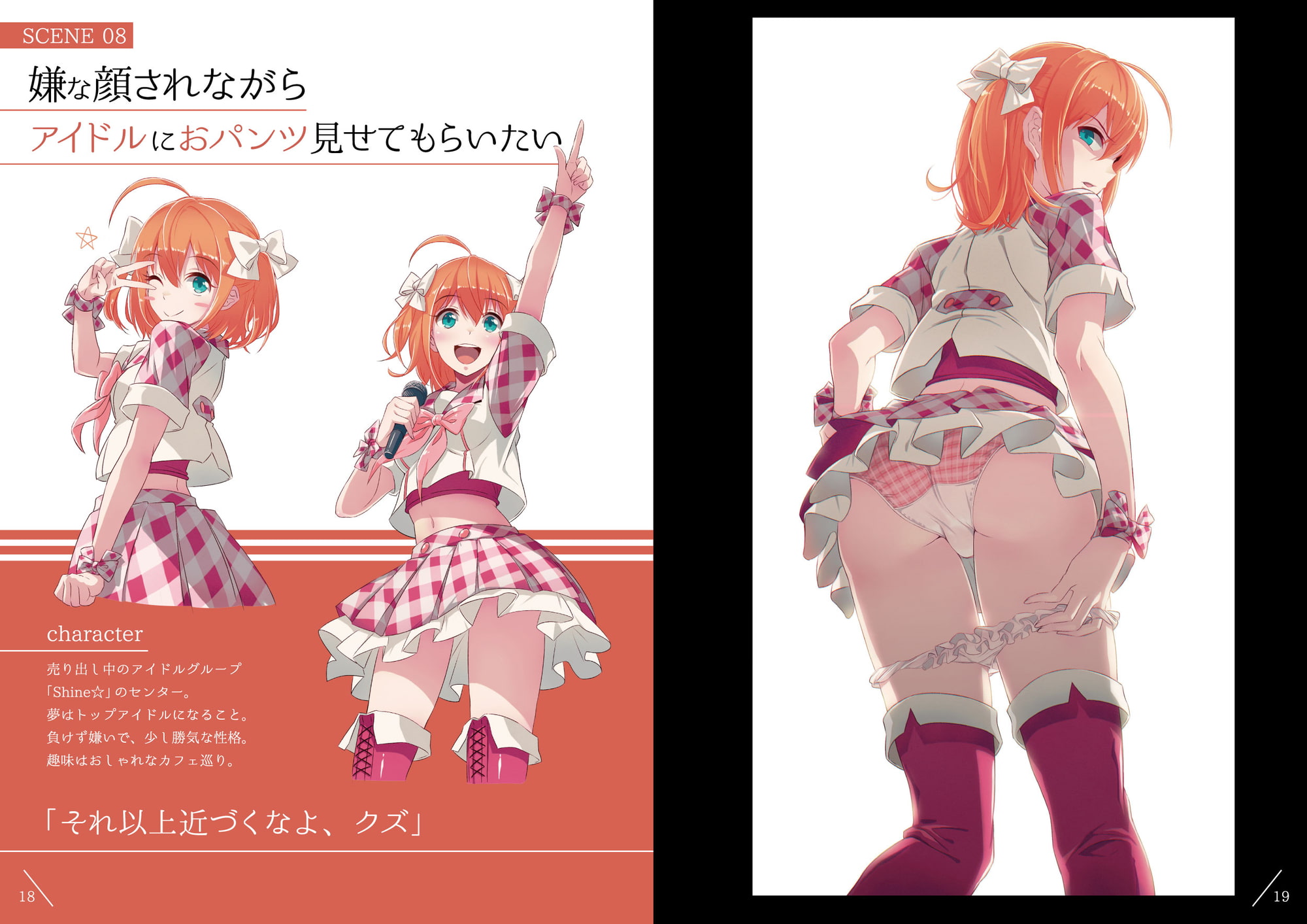 嫌な顔されながらおパンツ見せてもらいたい本