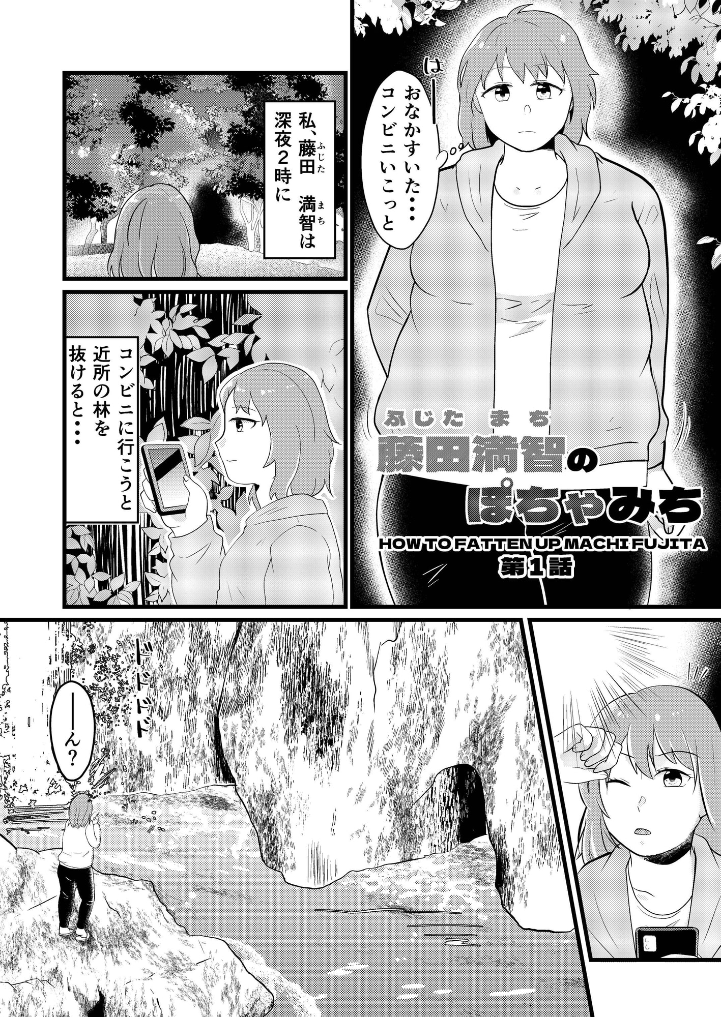 藤田満智のぽちゃみち