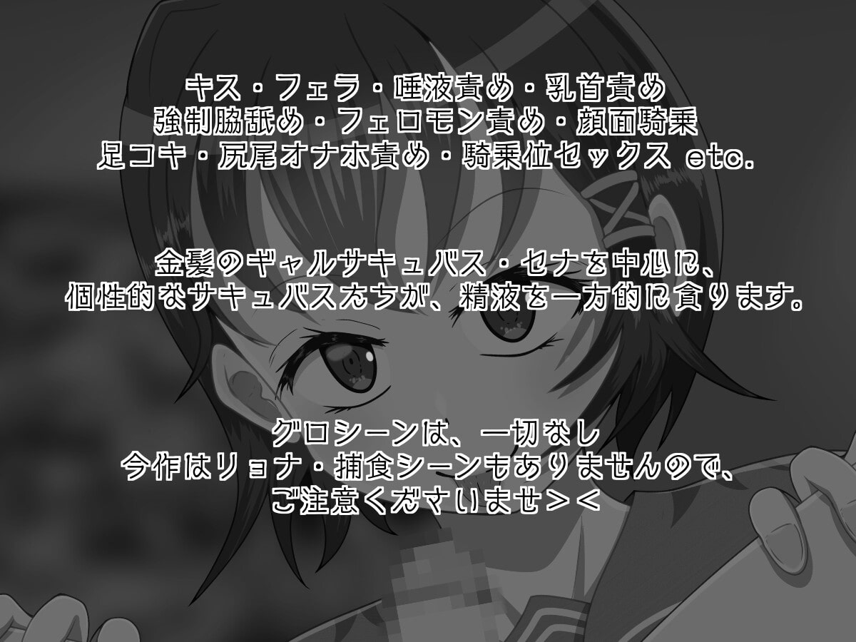 サキュバスの肉檻〜調教編