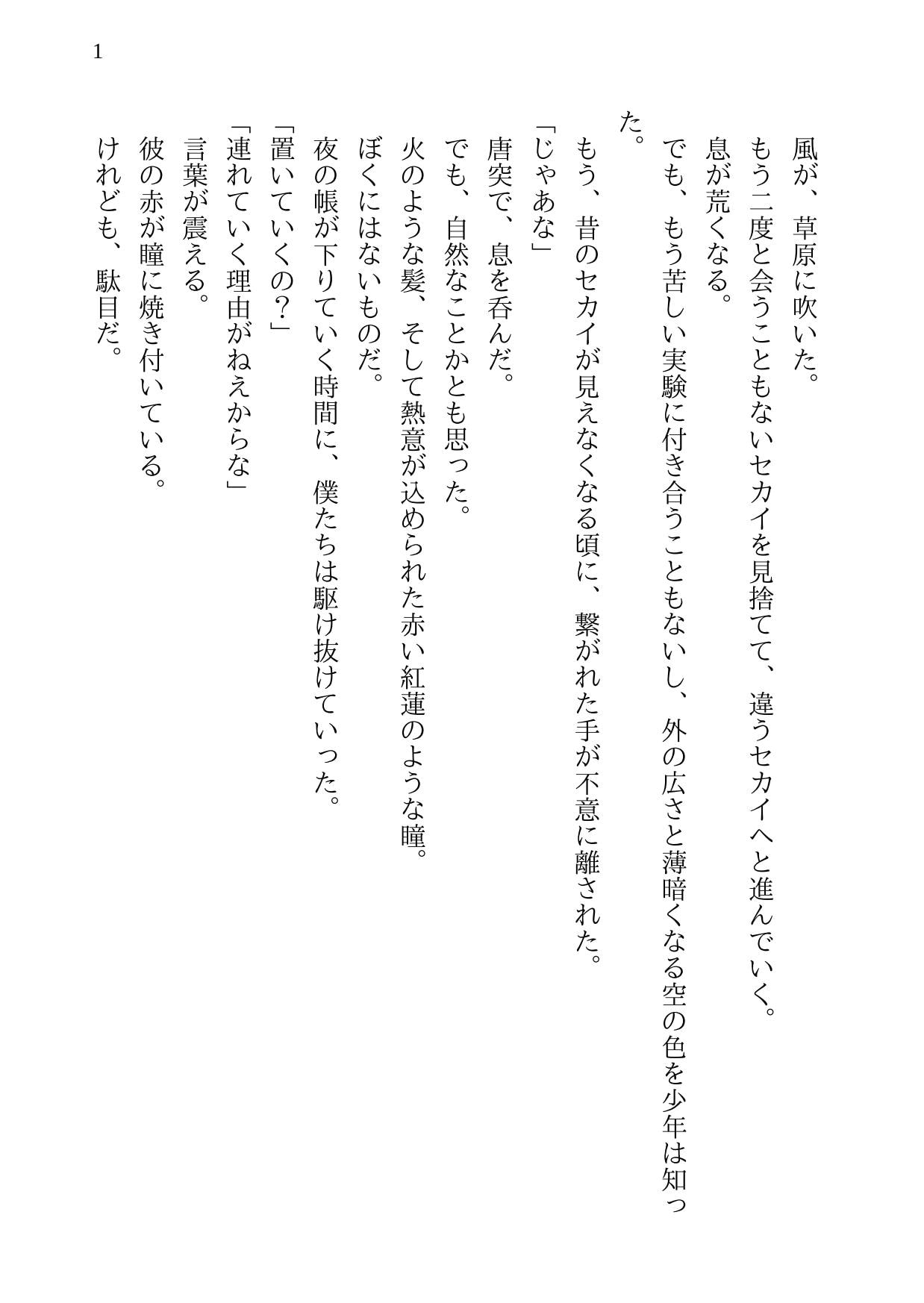 魔法使いとホムンクルス