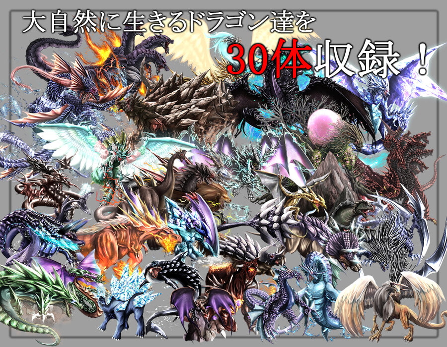 モンスター素材集 竜の塒