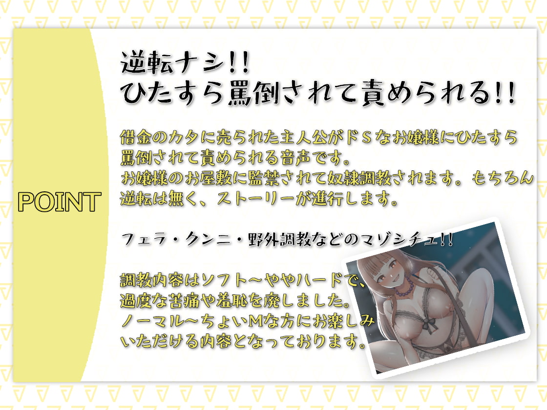 金持ちお嬢様に買われた僕の人生