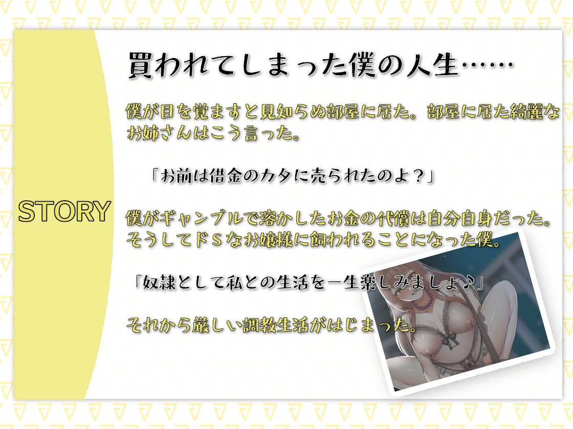 金持ちお嬢様に買われた僕の人生