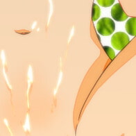 ペッ○ーの服従