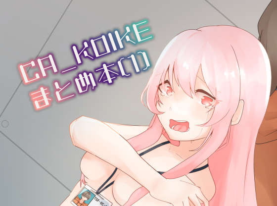 CA_KOIKEまとめ本1