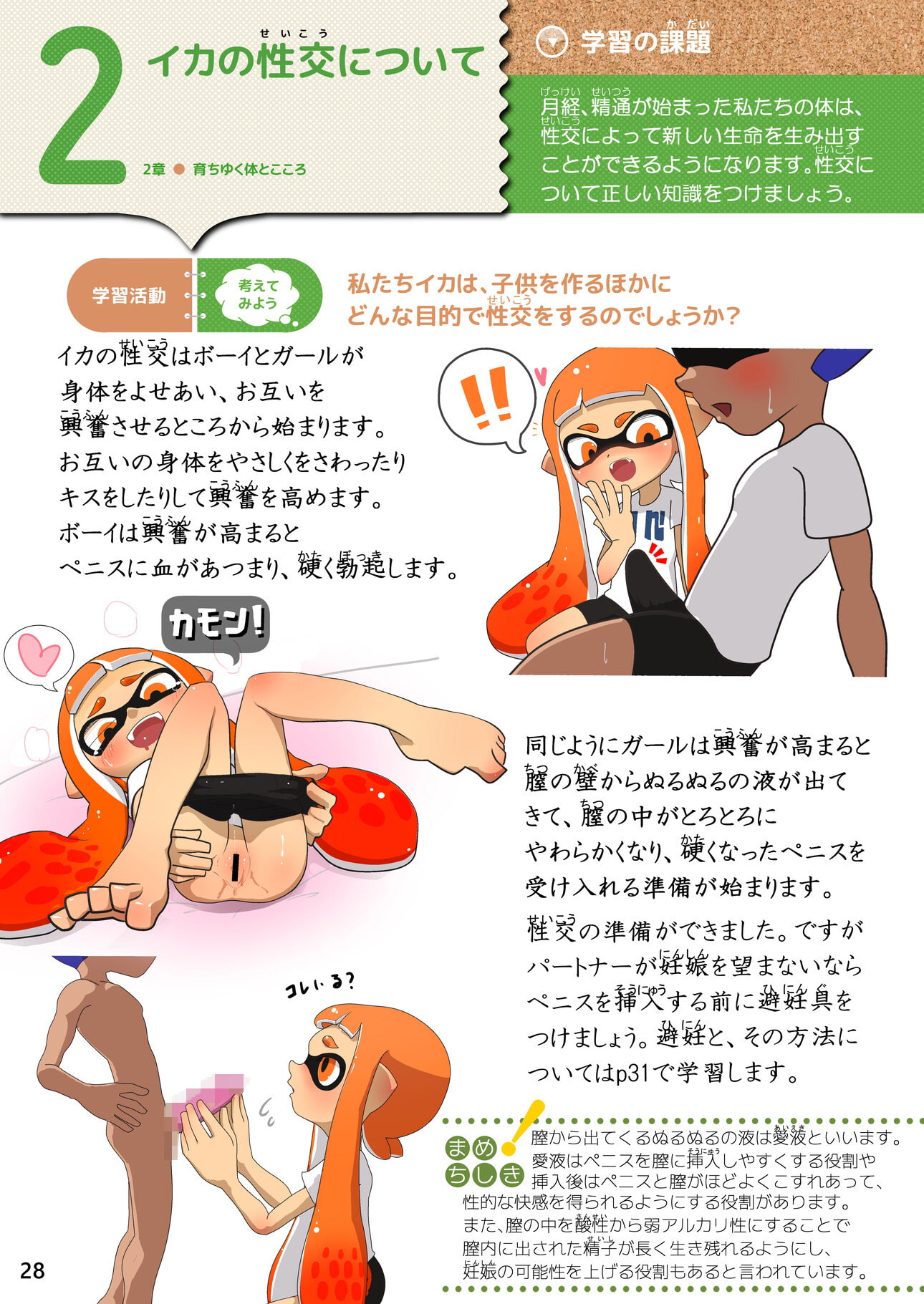 新編 新しいイカの保健