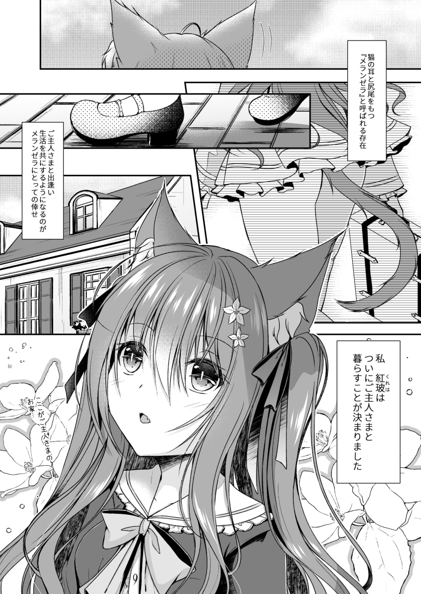 従順にゃんこと首輪のお時間