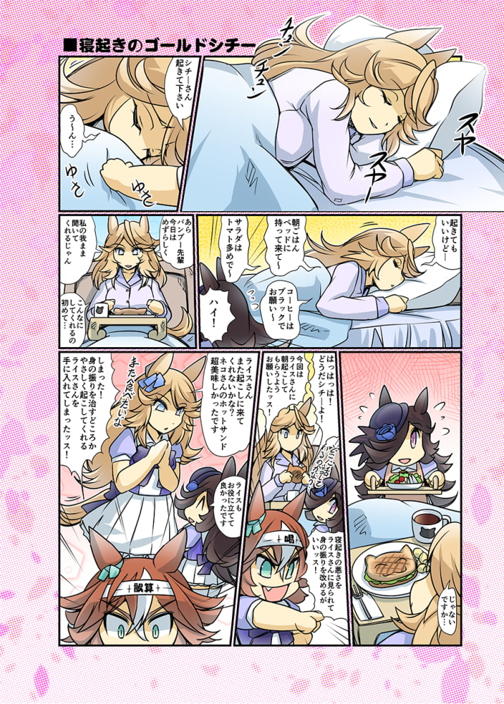 幸せライス!(みんなを幸せにしたいライスシャワー9)