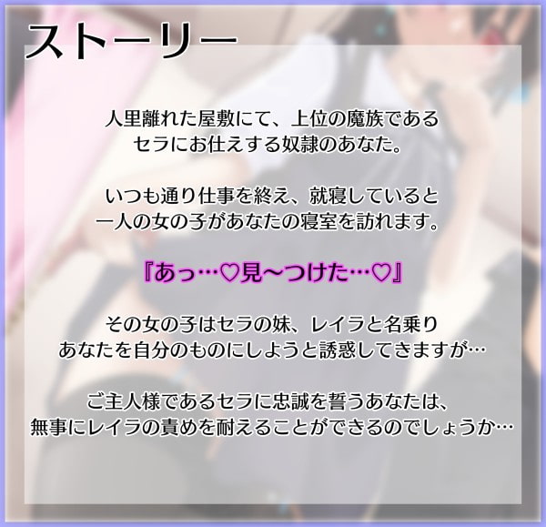 魔族令嬢姉妹の奪い"愛"奴隷調教