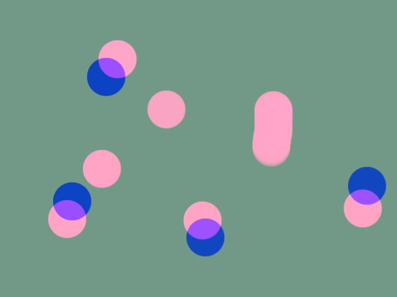 アウクスビヌス(黒)