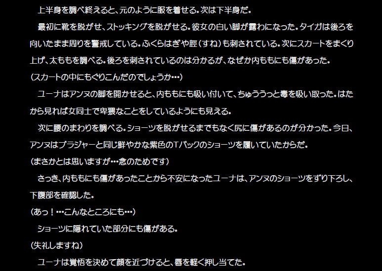ファンタジー小説ぱっしょん!～新米(♀)聖職者の(Hな)受難～