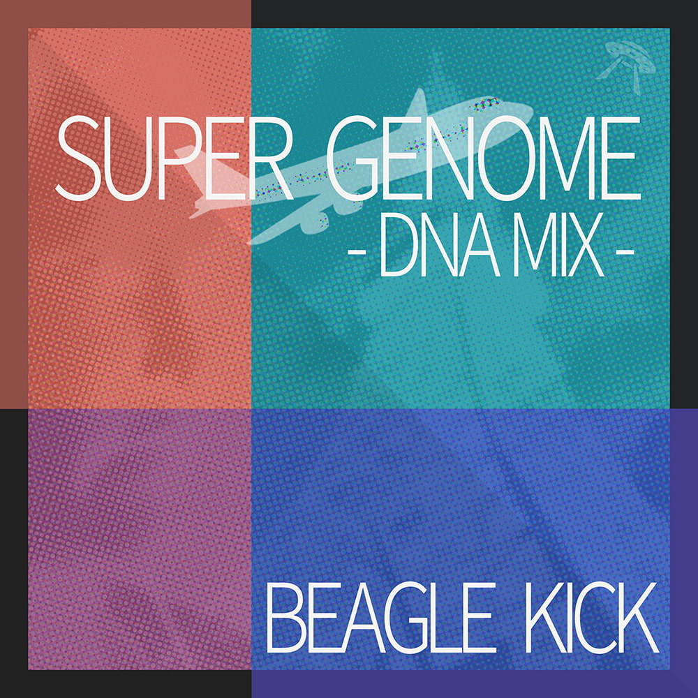 Beagle Kick REMIX APOLLO Collection