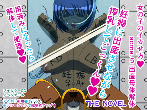 女の子のイカせ方 acme.5 出産母体解体 THE NOVEL