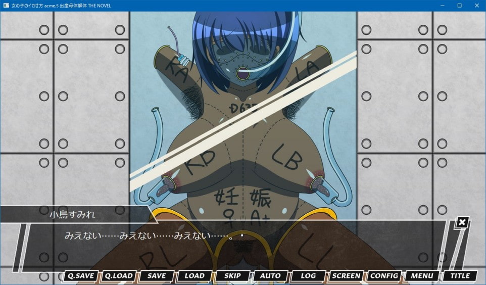 女の子のイカせ方 acme.5 出産母体解体 THE NOVEL