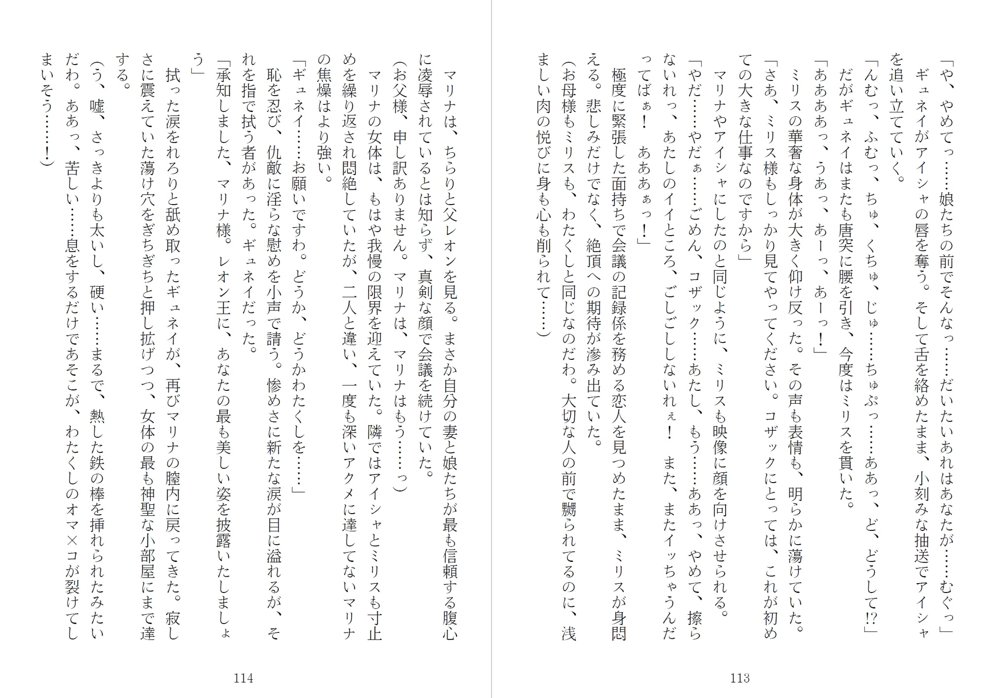 アイシャ、マリナ、ミリス 刻印されたエルフ母娘