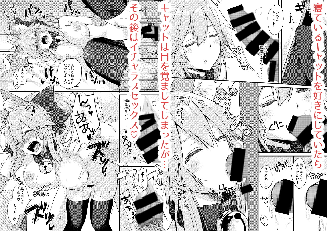 無防備睡眠タマモキャット