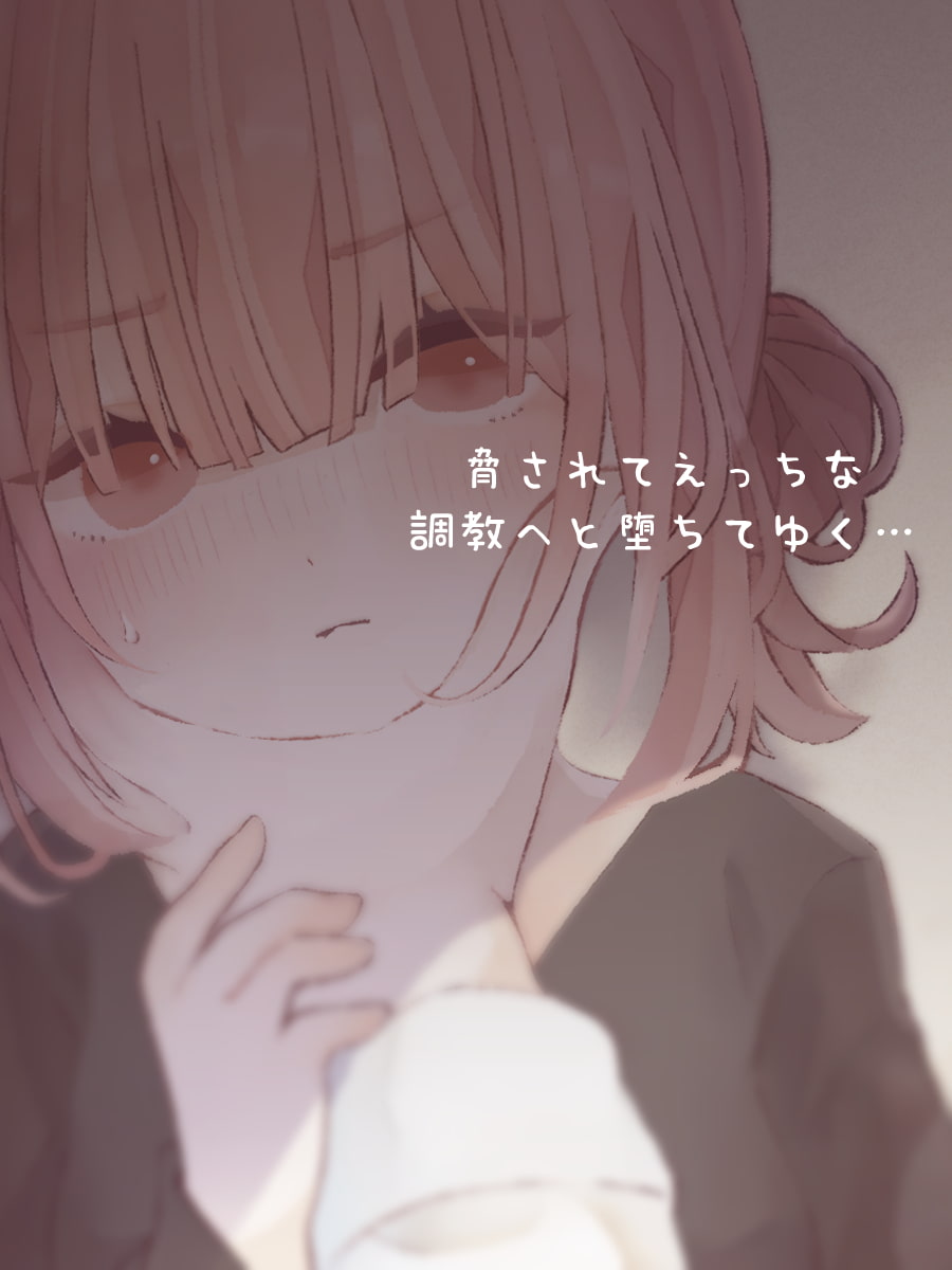 無理やりえっちなことする本