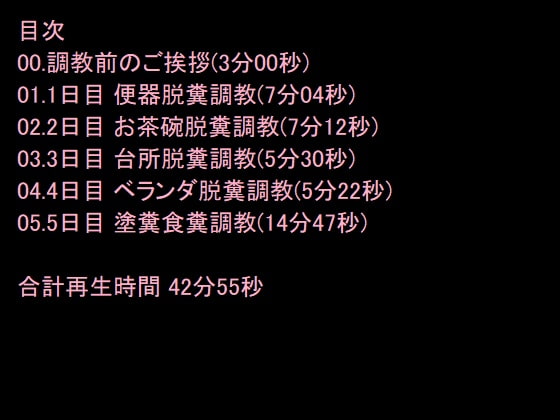 うんち漬け5日間調教