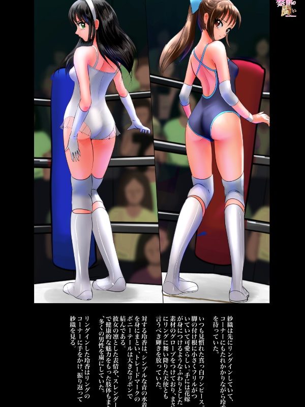 禁断の闘い1・2・3~総集編~