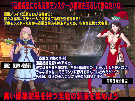 師匠!私で淫魔をおびき寄せるのはやめましょうよっ!!