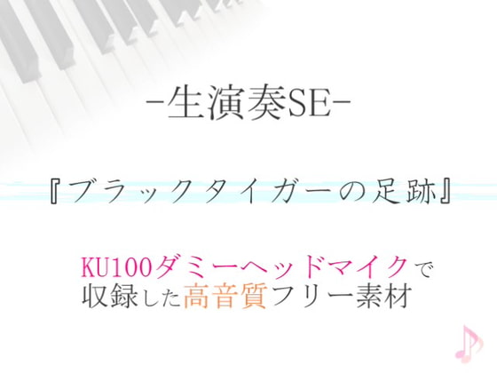 【生演奏SE/効果音】ブラックタイガーの足跡【ダミヘ収録の高音質ASMR!】