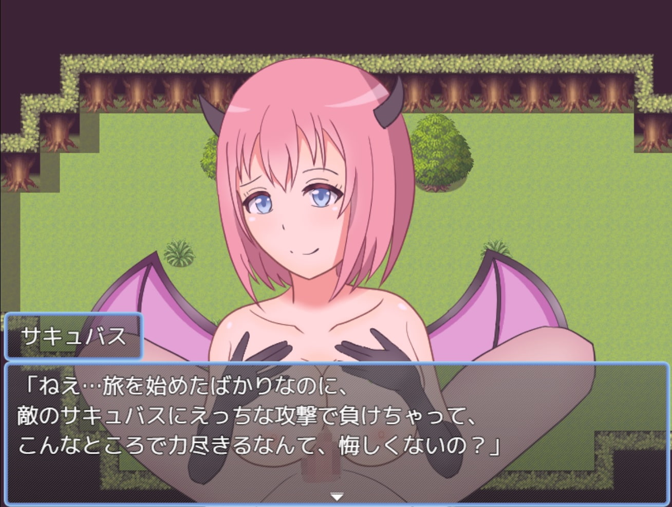 序盤の難関～サキュバスとの遭遇～