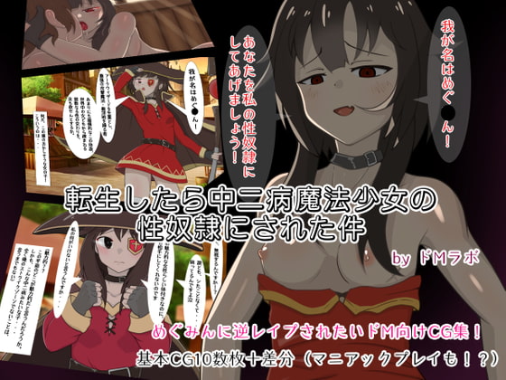 転生したら中二病魔法少女の性奴隷にされた件