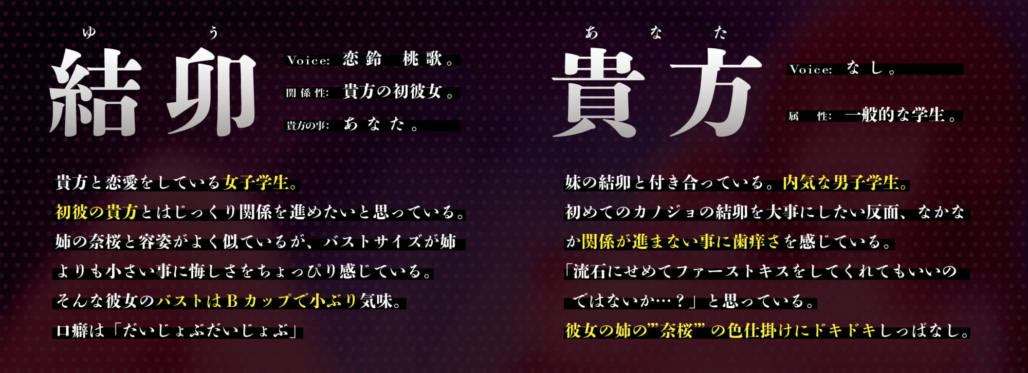 【逆NTR】生ま◯こ誘惑のドスケベ淫語お姉さん。彼女の姉に甘く焦らされ敗北射精するクソマゾな僕。【120分】
