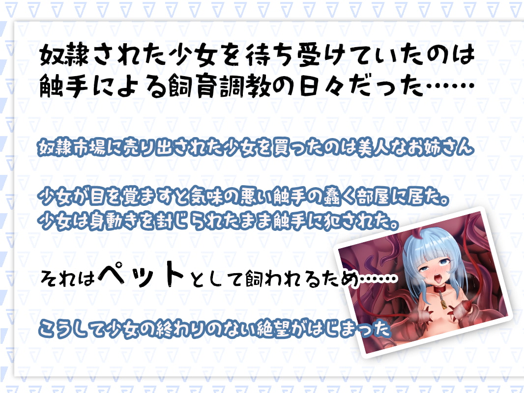 触手飼育快楽洗脳～トランス状態でペットにさせられて壊される音声～