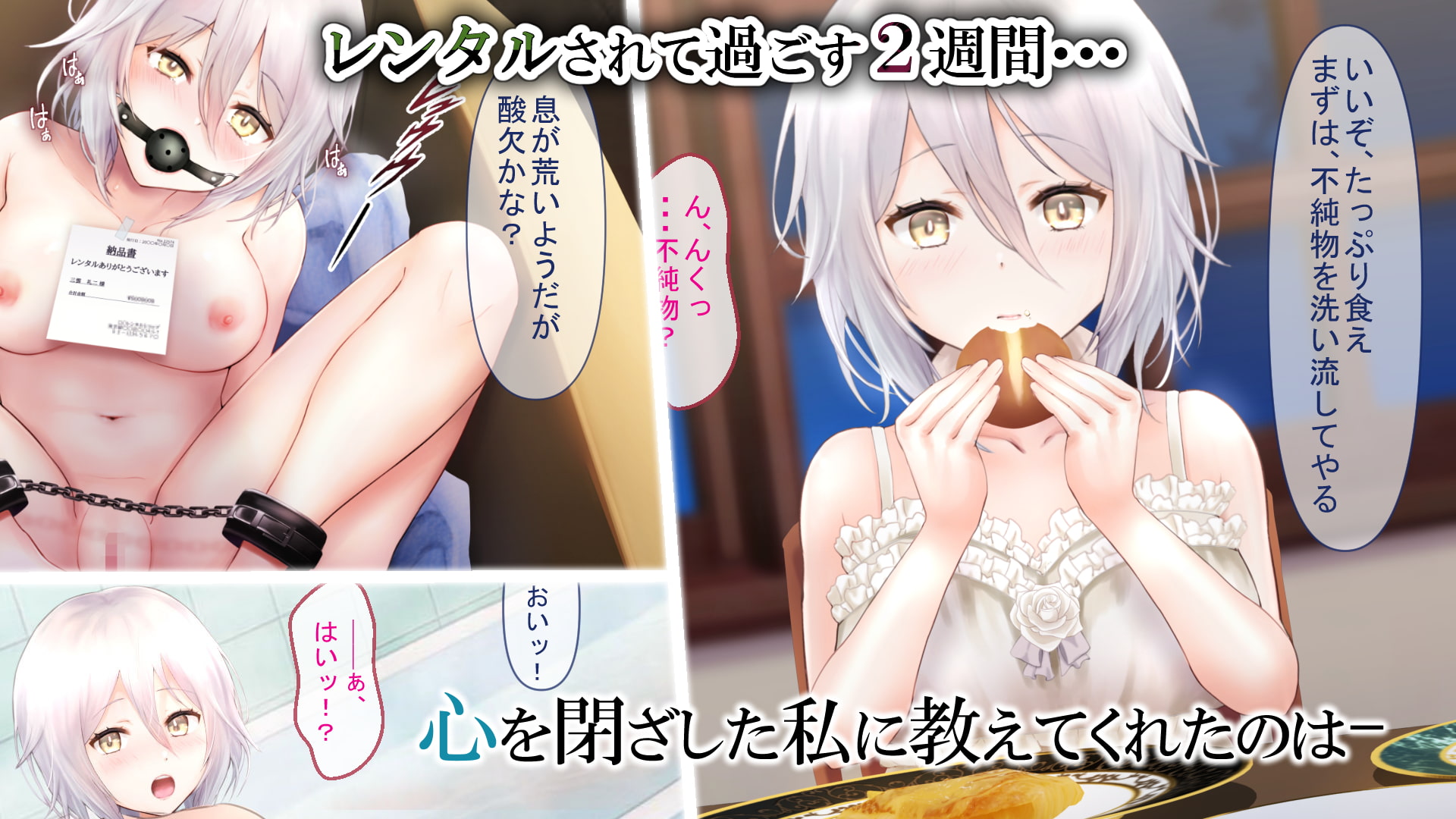 レンタルペット日記～とある少女の調教記録～