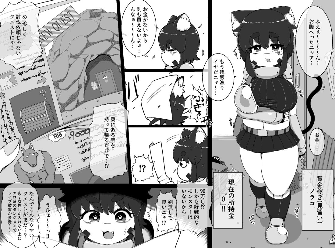 ノラコクエスト