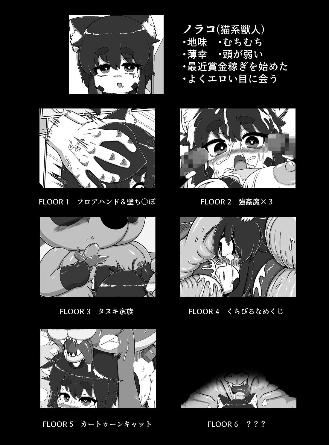 ノラコクエスト