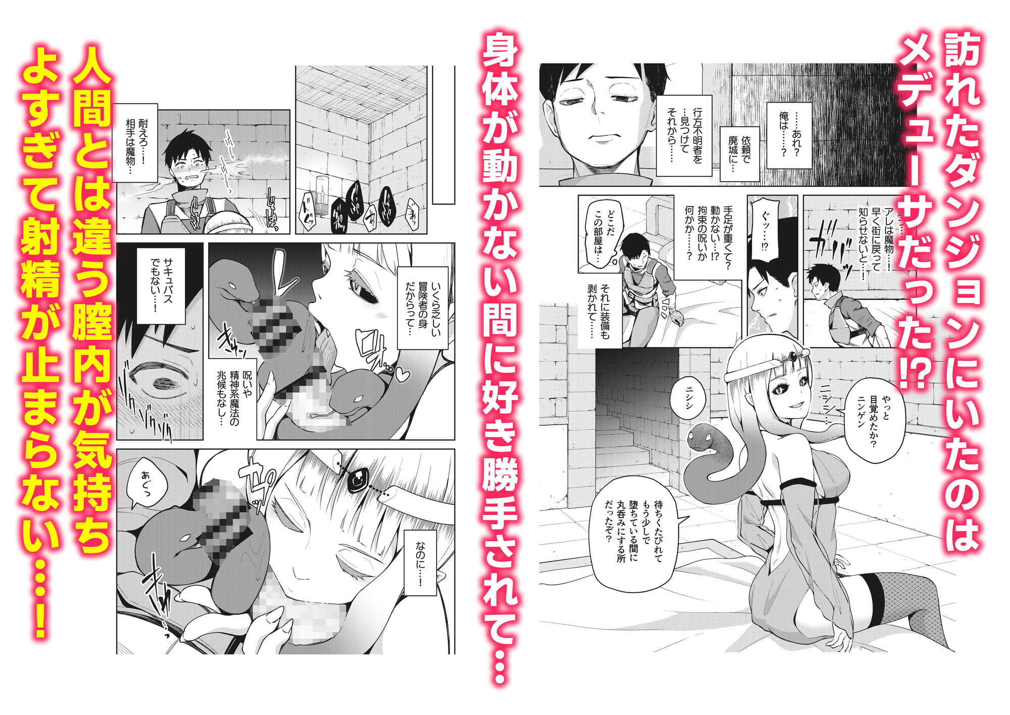 交尾乱舞ーモン娘ファイターズ