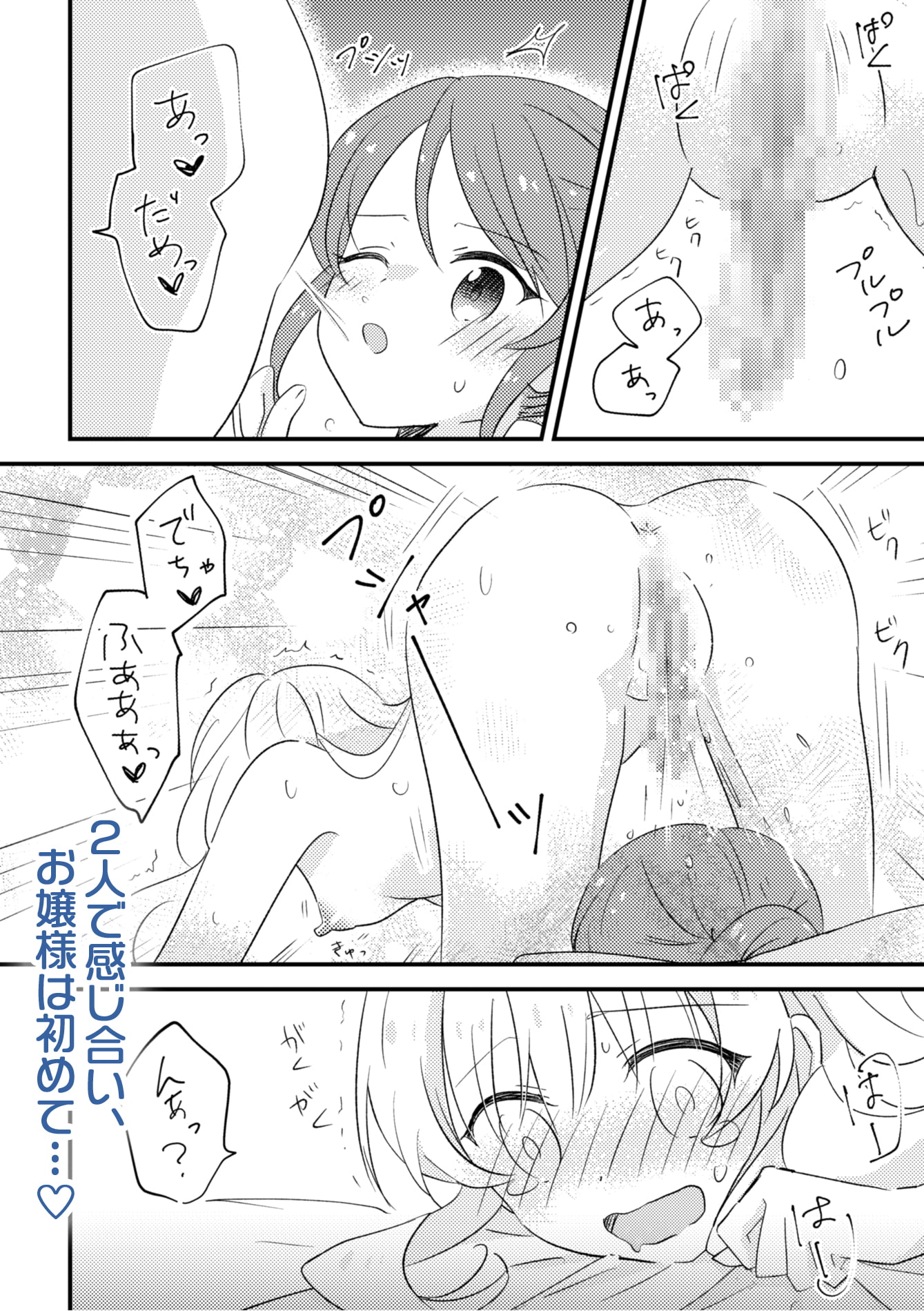 おじょうさまのひみつ2