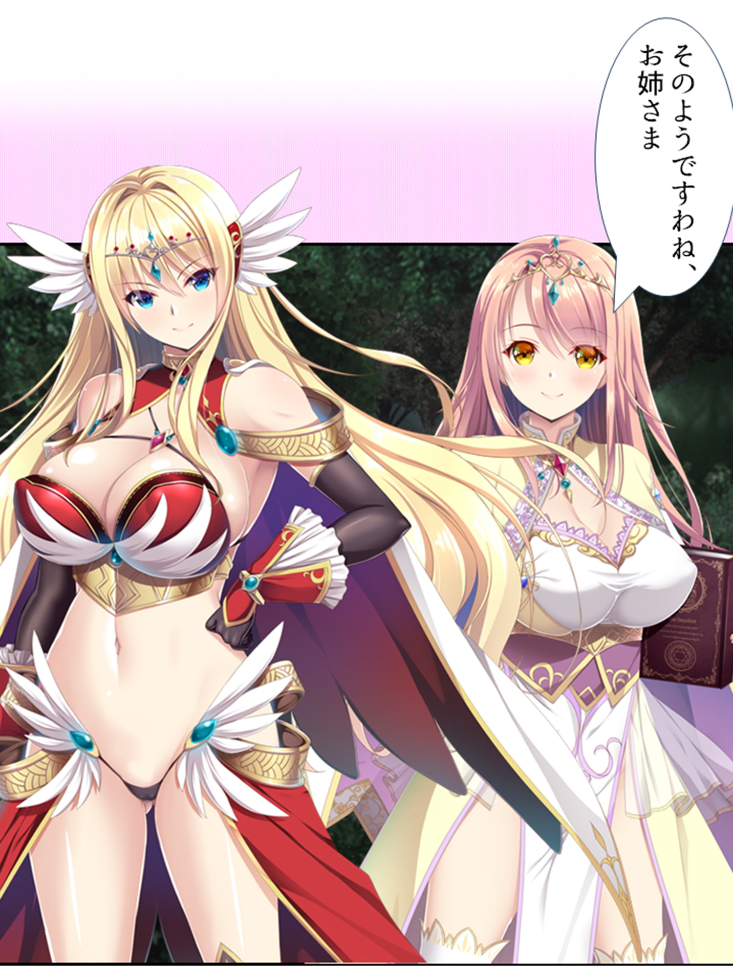 魔物は全員ヤり倒す!変態姉妹のオーク討伐冒険記 1巻