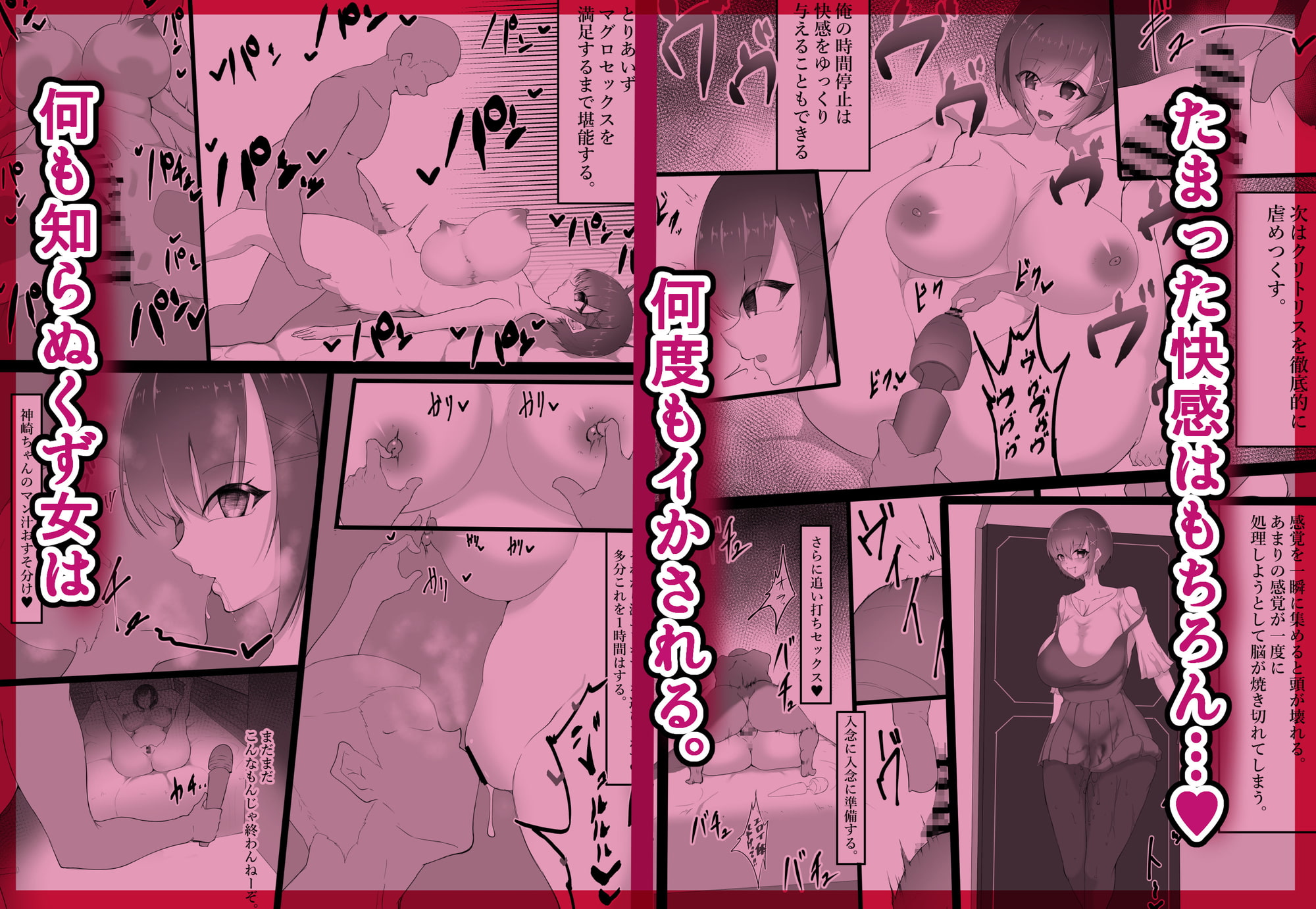 くず女が時間停止タダマンされて人生終了に追い込まれる事件